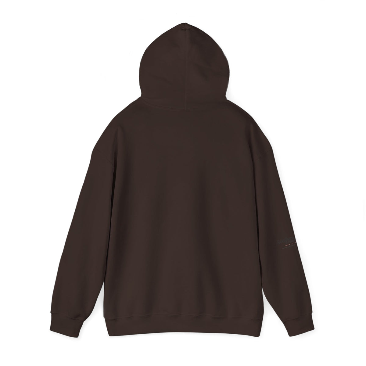 Touchdowns and Testifying Hooded Sweatshirt