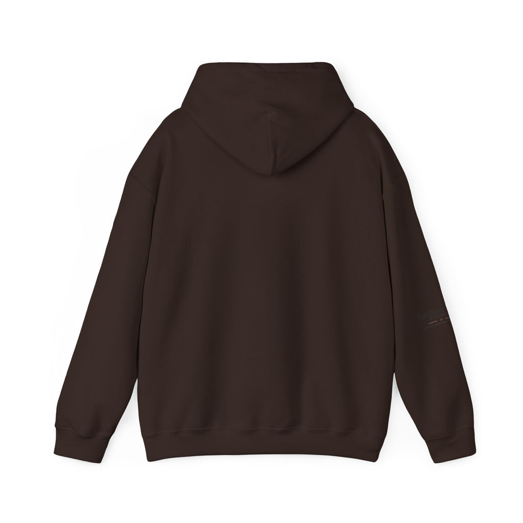 Touchdowns and Testifying Hooded Sweatshirt