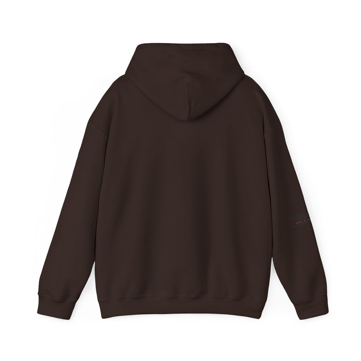 Touchdowns and Testifying Hooded Sweatshirt