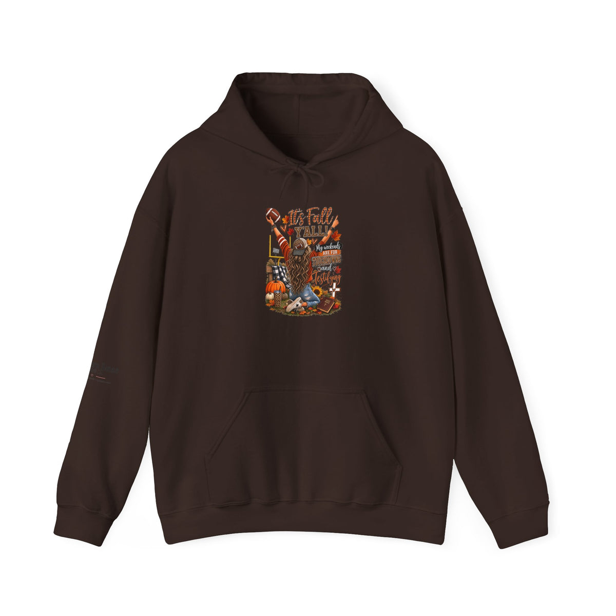 Touchdowns and Testifying Hooded Sweatshirt